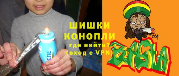 амф Няндома