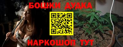тгк Славгород