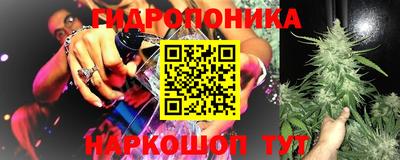 тгк Славгород