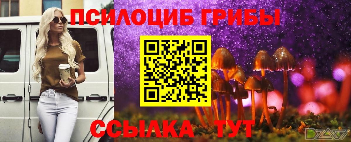 Галлюциногенные грибы прущие грибы Тихвин