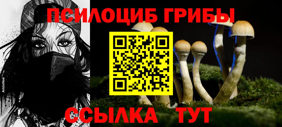 Галлюциногенные грибы мицелий  Псилоцибиновые грибы MAGIC MUSHROOMS  Тихвин  Вход с VPN 
